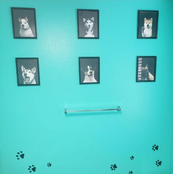 Pet washing station